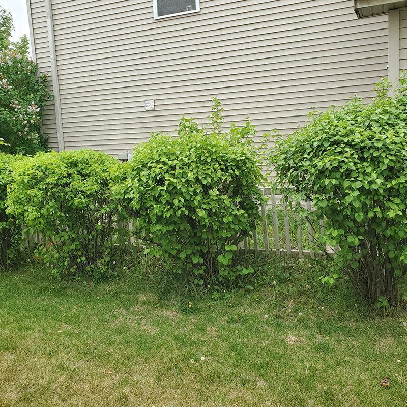 V&S Landscaping - Image-58