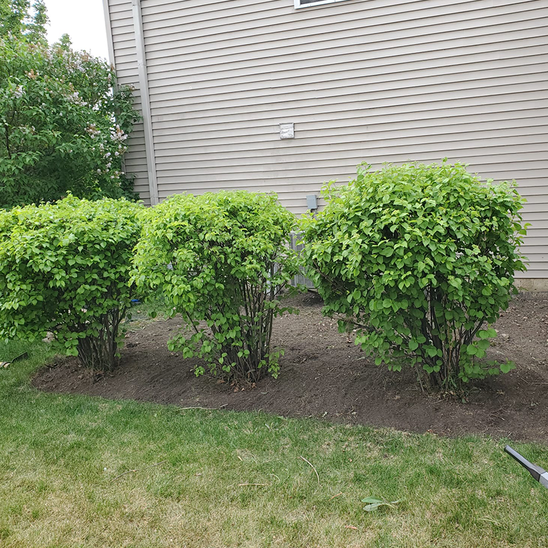 V&S Landscaping - Image-57