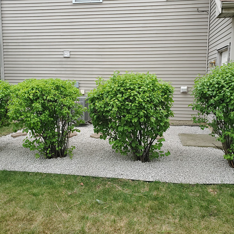 V&S Landscaping - Image-54